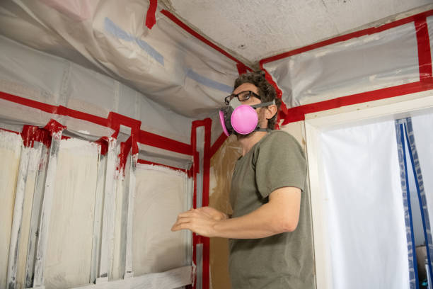 Best Mold Odor Removal Services  in Claymont, DE